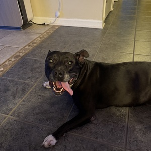 Fundraising Page: Bryan Smith